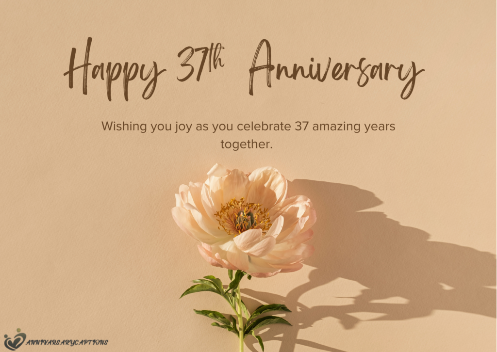 37th wedding anniversary